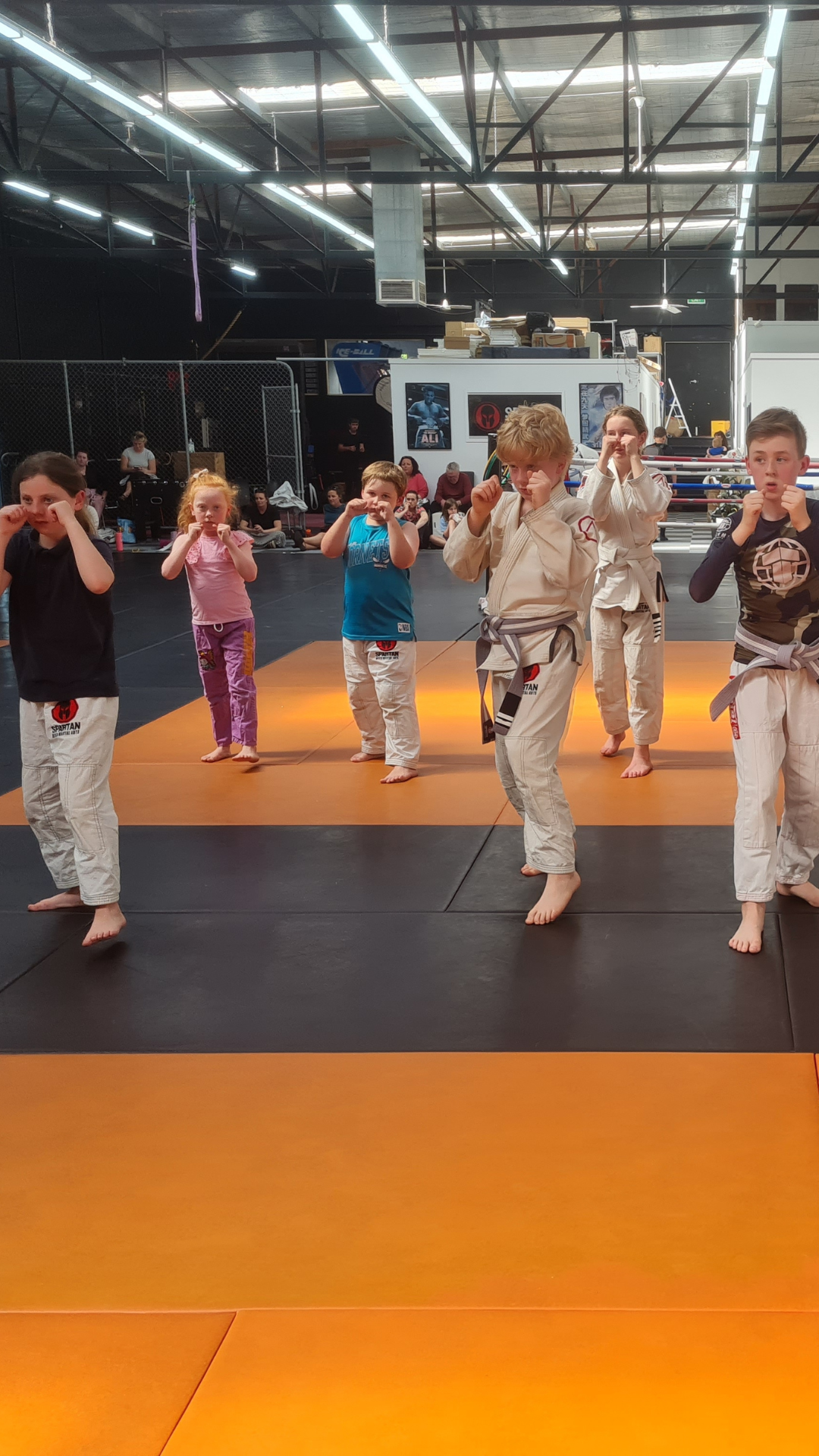 Spartan MMA Warrnambool Facebook ad