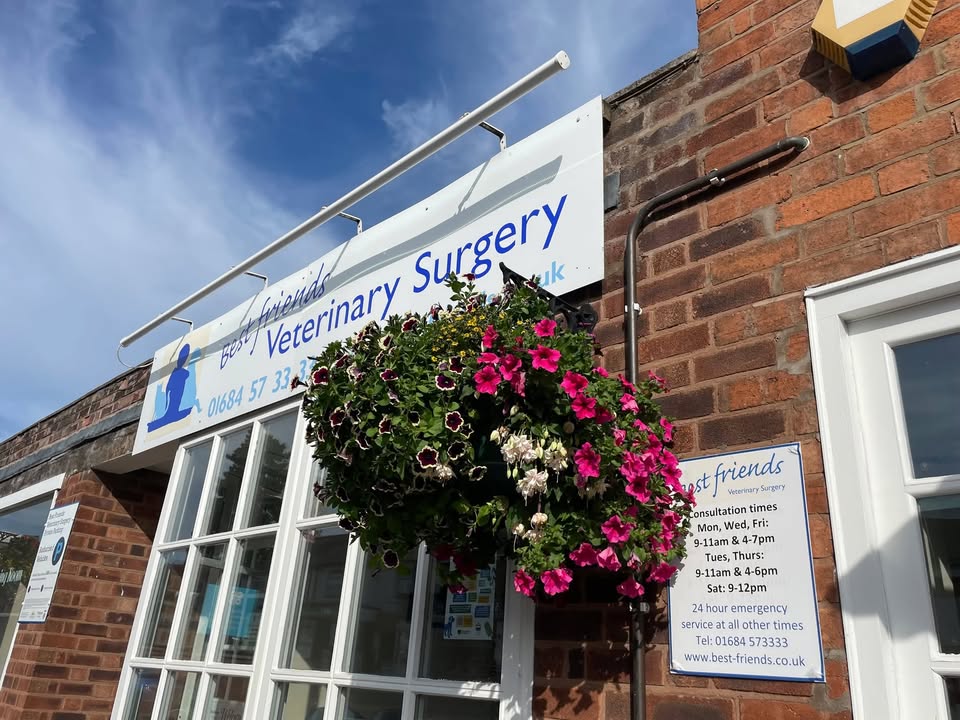Best Friends Veterinary Surgery Facebook ad: Located in the heart of Malvern Link.