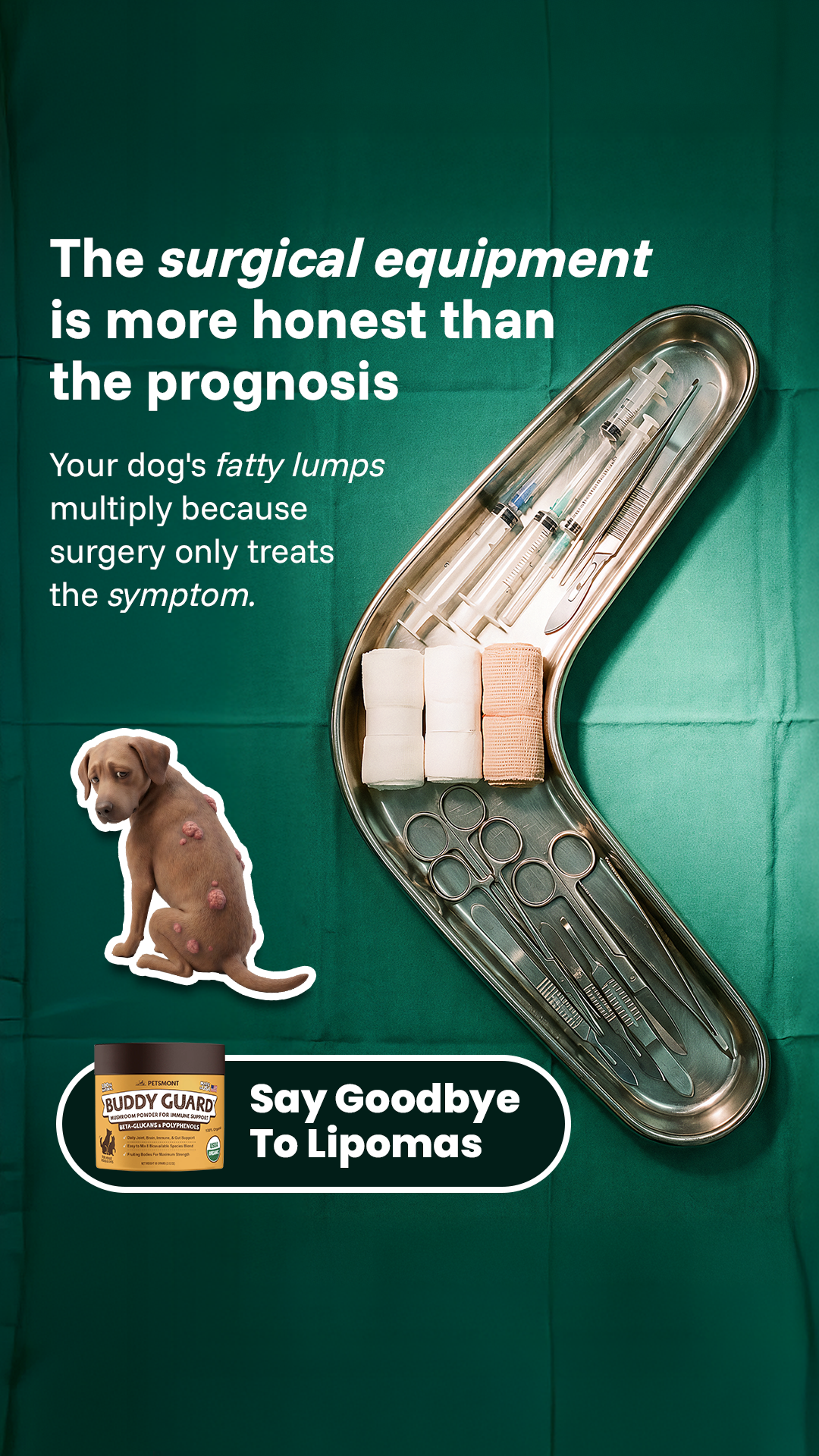 Petsmont Facebook ad