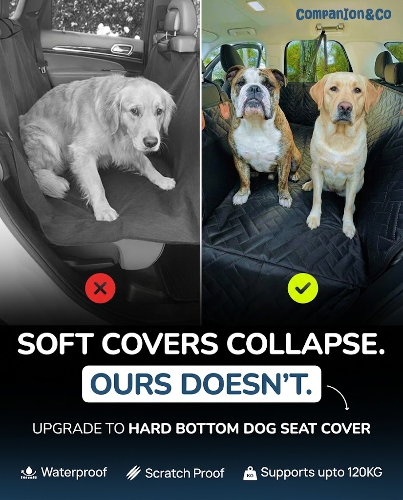 Companion&Co Facebook ad