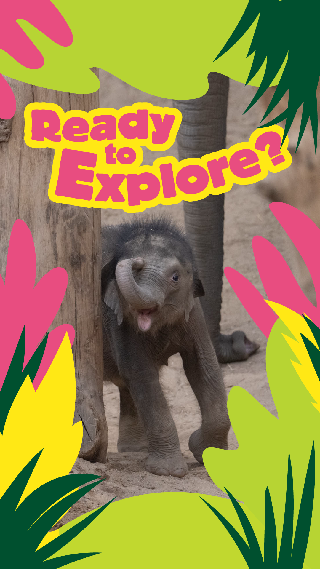Blackpool Zoo Facebook ad from May 14, 2026