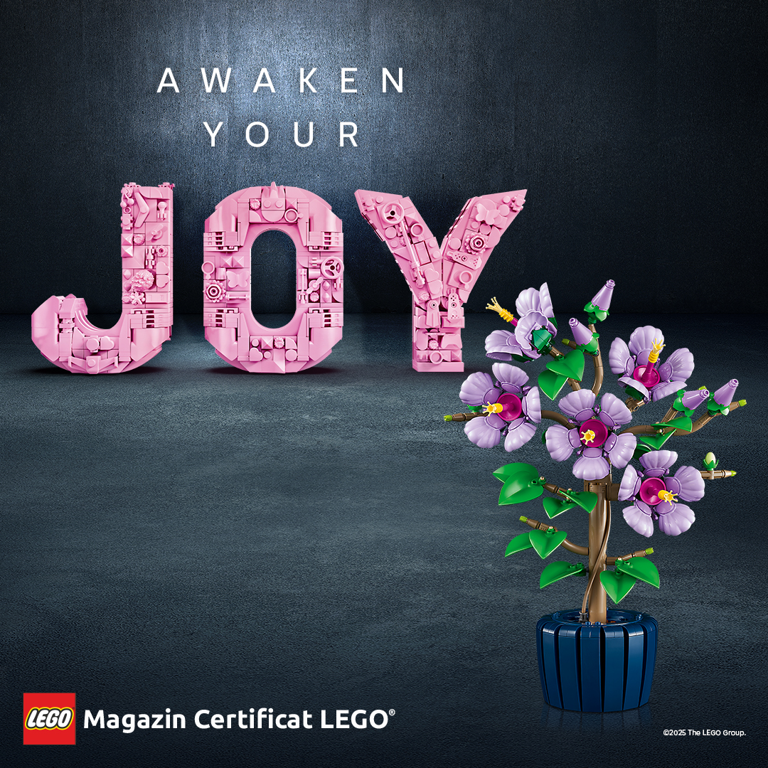 Magazin Certificat LEGO Facebook ad