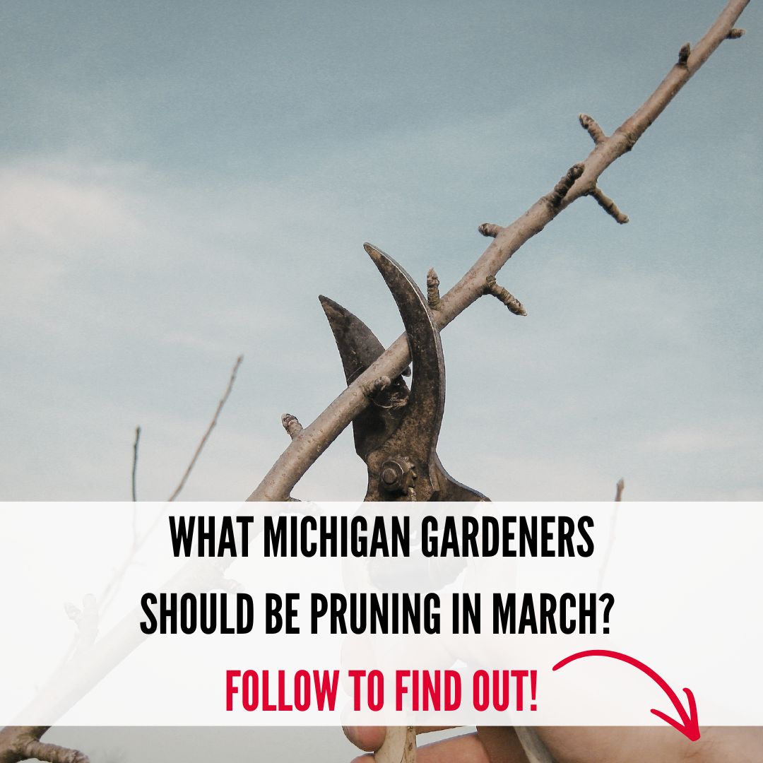 Michigan Gardener Facebook ad from Mar 23, 2026