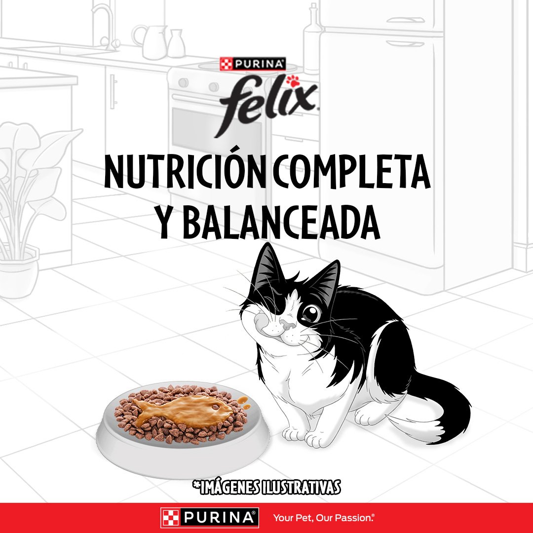 Purina Felix Facebook ad: Descubre su favorito