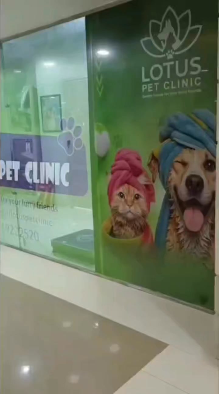 LOTUS PET Clinic Facebook ad: !ليه معملتش عملية تعقيم لأليفك لحد دلوقتي ؟