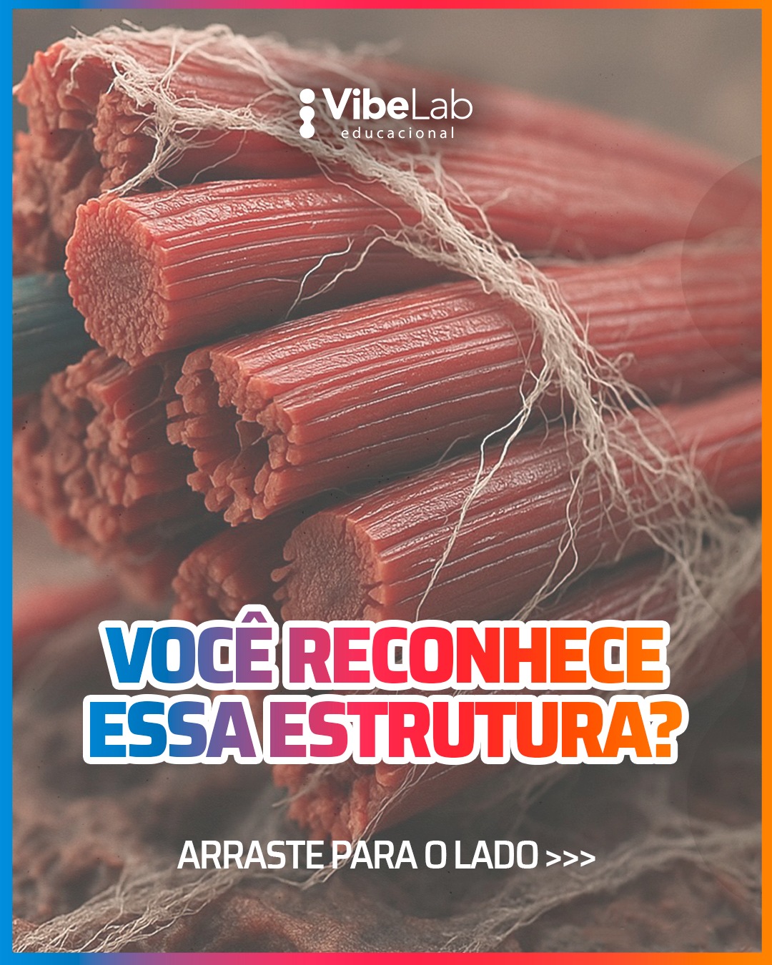 VibeLab Educacional Facebook ad: Você sabia que o nosso corpo é revestido…
