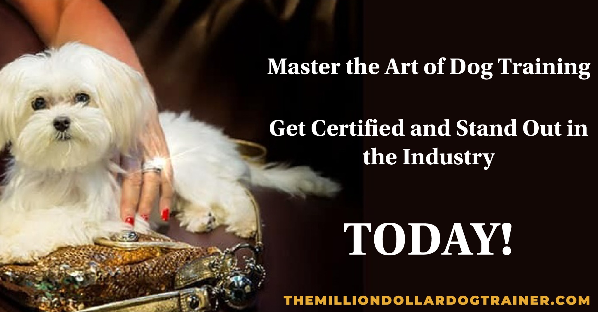 The Million Dollar Dog Trainer Facebook ad: Unlock the Secrets of Successful Dog Training - Get Your…