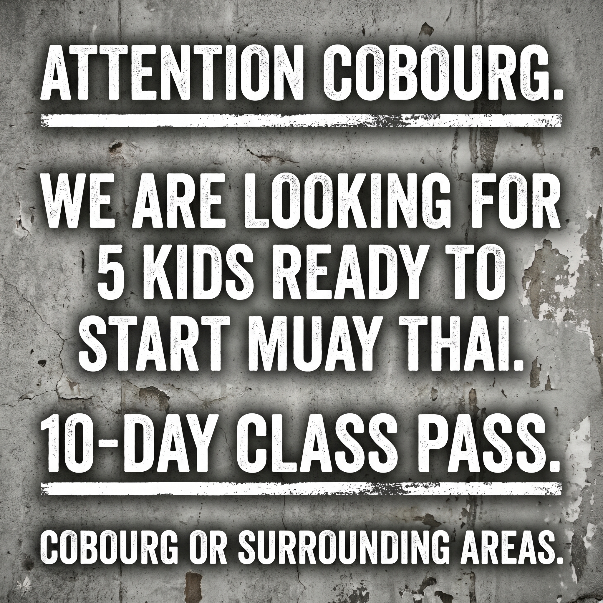 Athena Muay Thai Facebook ad: Want a FREE 10-Day, Kids Muay Thai Class Pass?