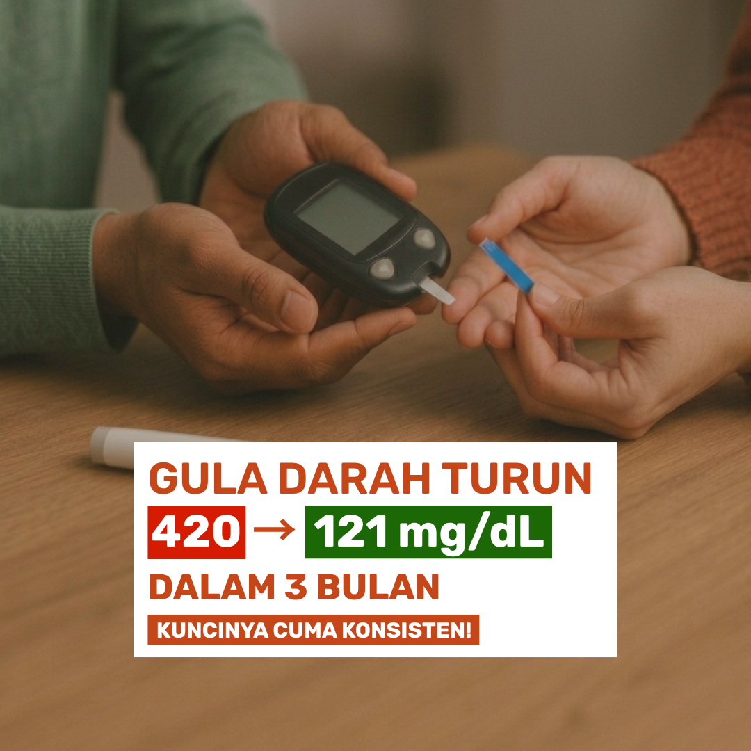mGanik Metafiber Cerita Customer Facebook ad