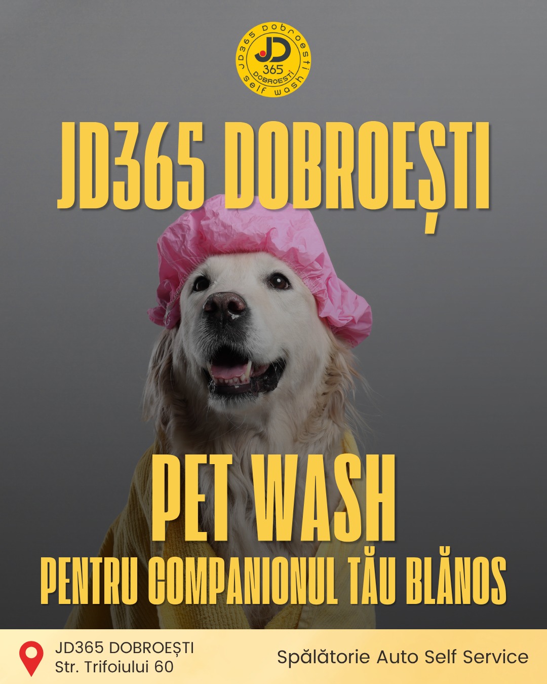 JD365 Spalatorie Auto self service Facebook ad
