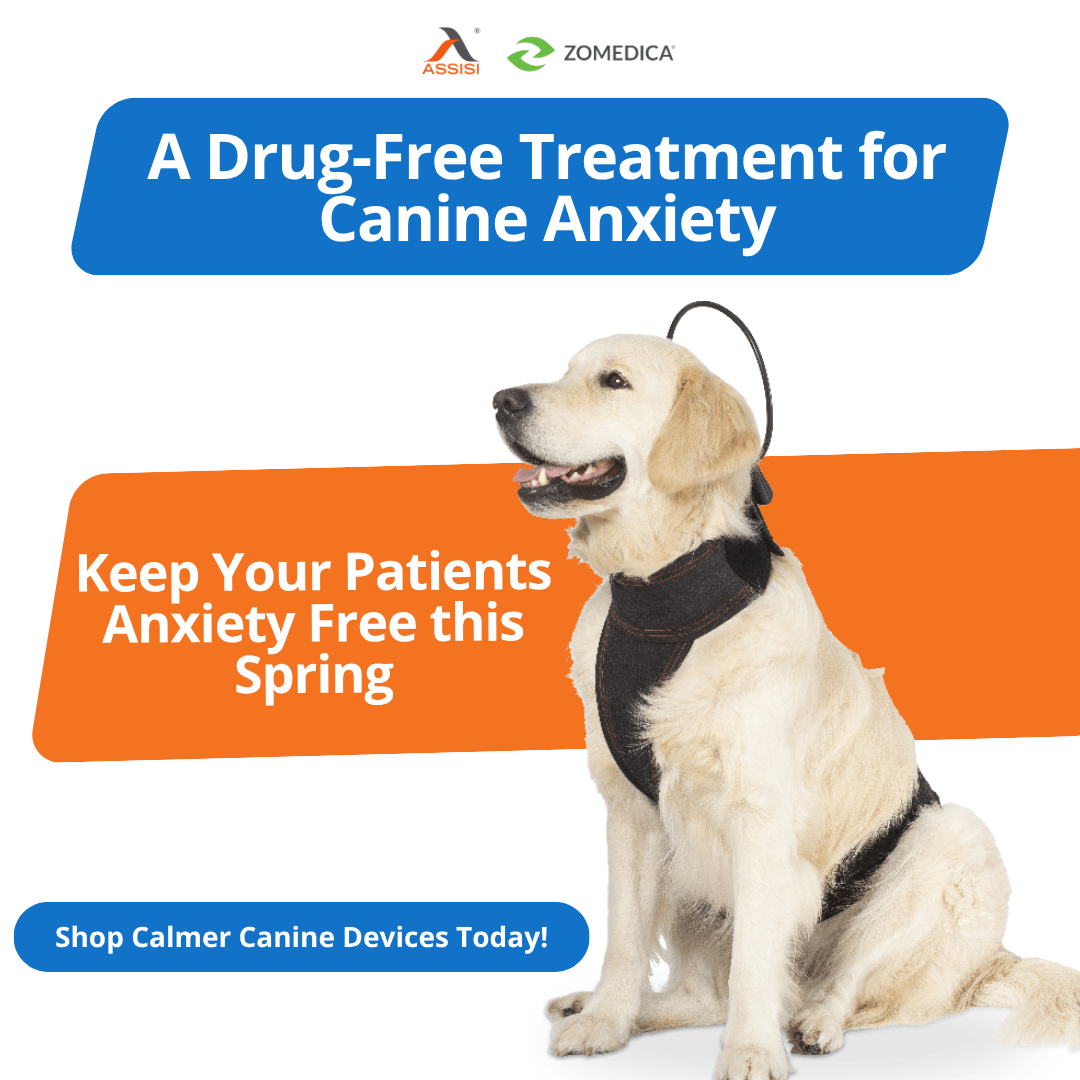Assisi Animal Health Facebook ad: Recommend Drug-Free Anxiety Relief. Shop Now