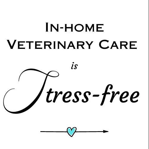Straight Arrow Veterinary Care - Dr. Kristen Ficzycz, DVM Facebook ad