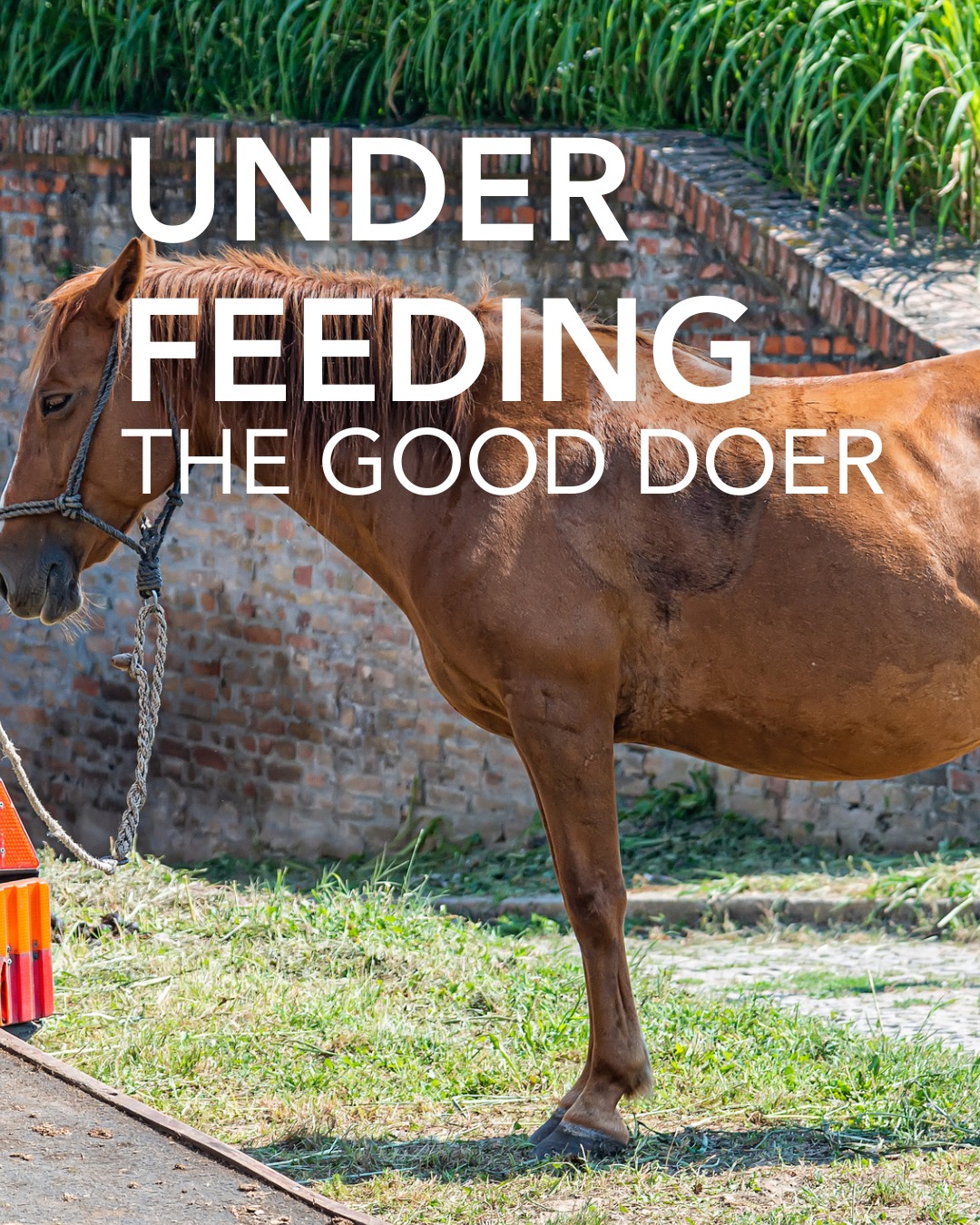 Feedmark Facebook ad