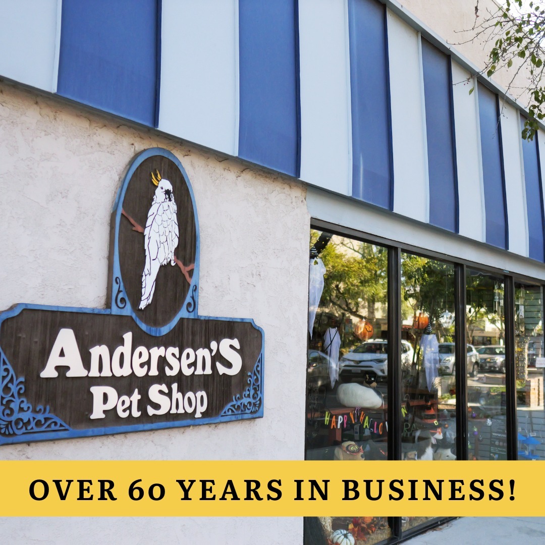 Andersens Pet Shop Facebook ad: Your Neighborhood Pet Shop!