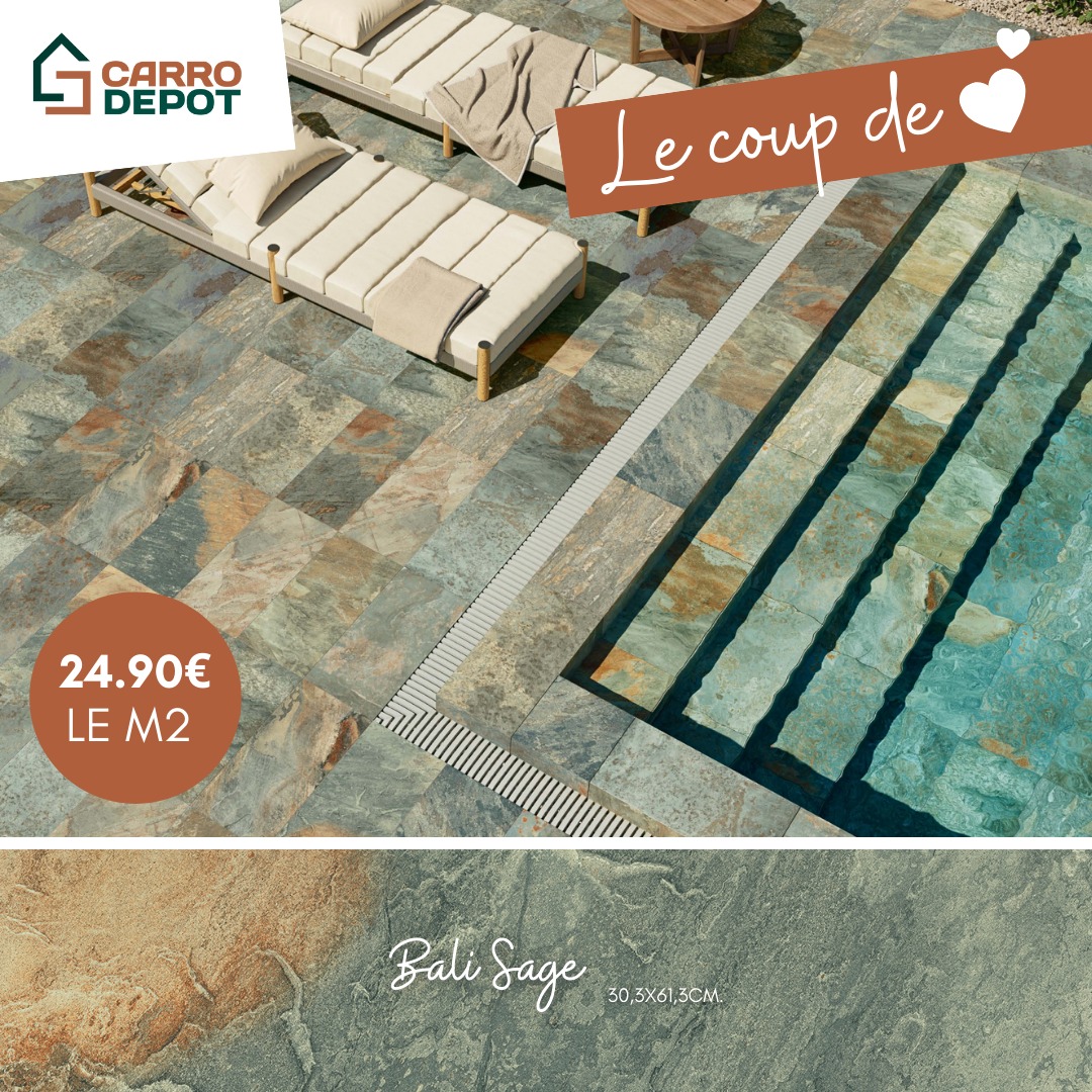 CARRO DEPOT Facebook ad: LE COUP DE DU MOMENT!