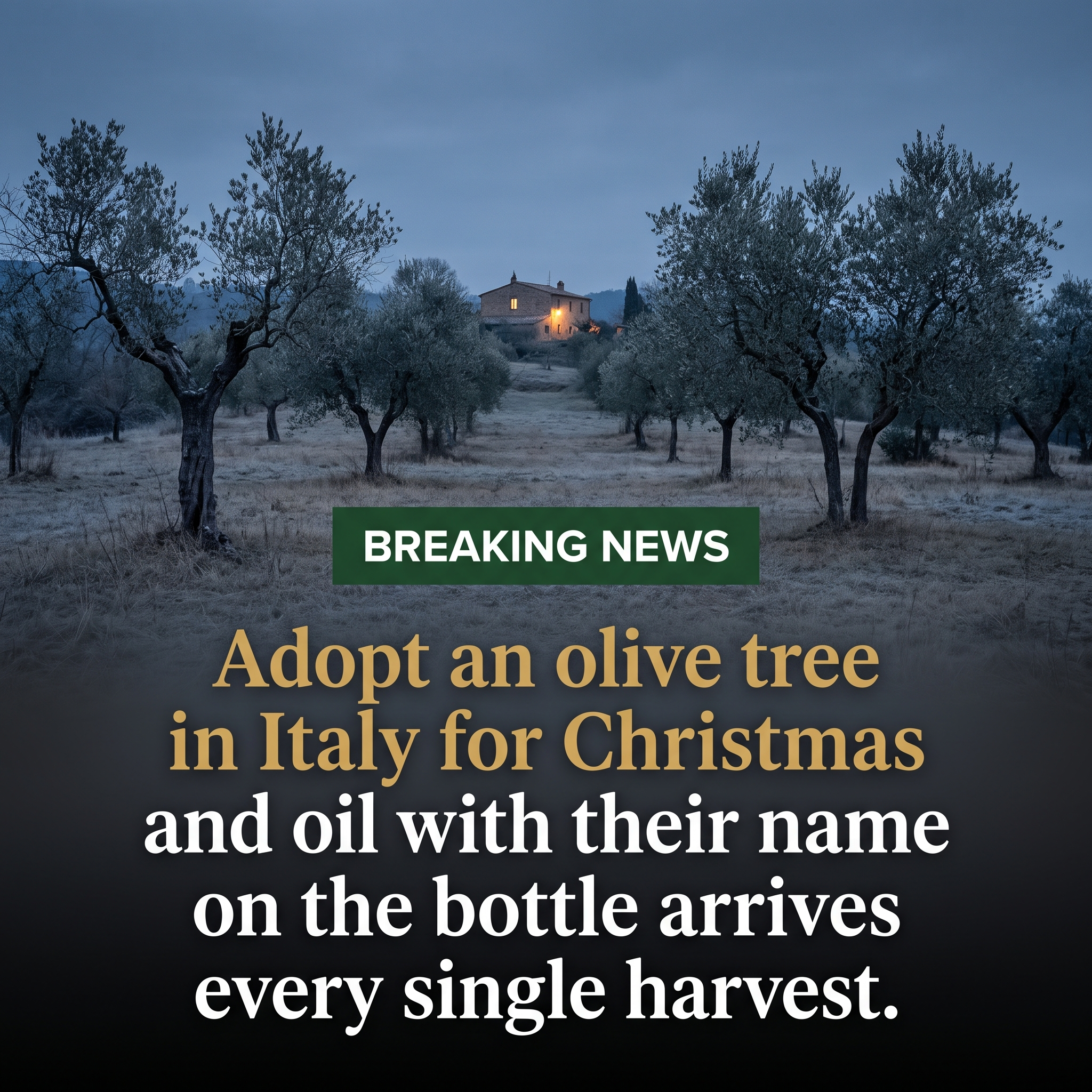 The Pollinator Press Facebook ad: Adopt a Tree. Taste La Dolce Vita.