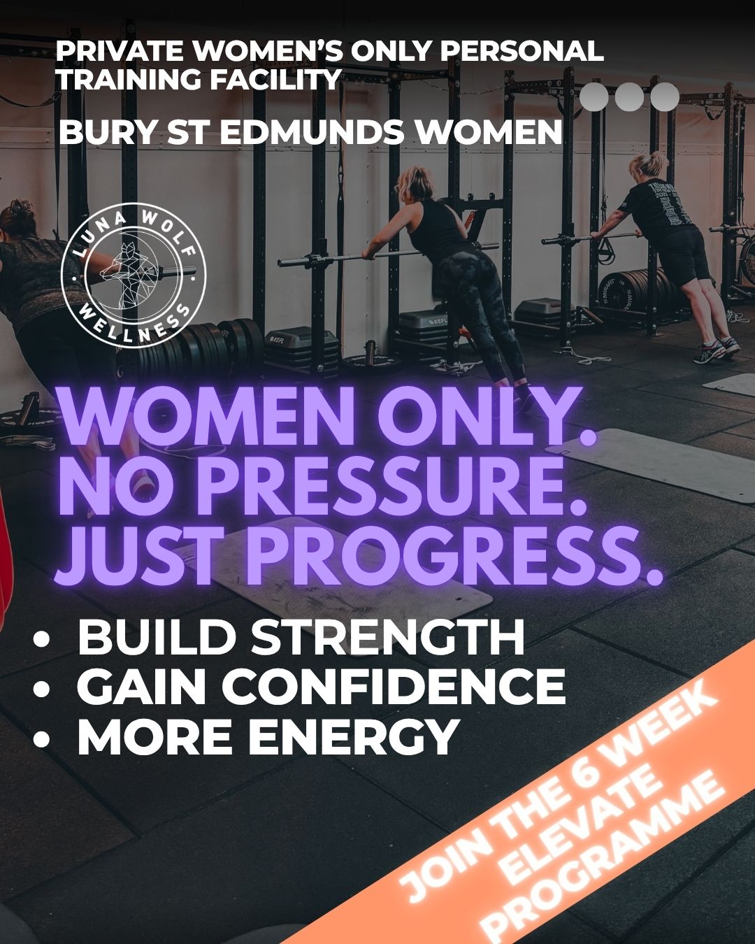 Luna Wolf Wellness Facebook ad from Jun 2, 2026