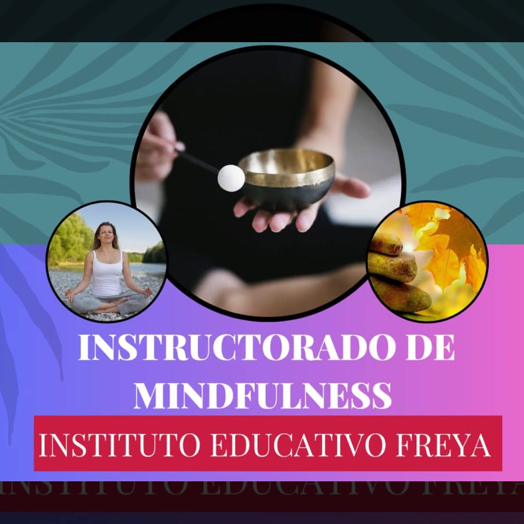 Instituto Educativo Freya Facebook ad: ¿Todavía indeciso sobre tu camino educativo?