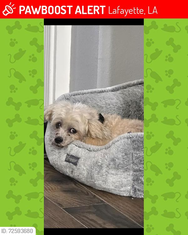 PawBoost Facebook ad