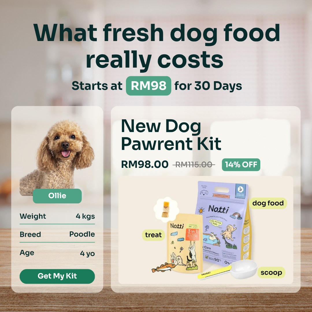 Notti Pet Food Facebook ad