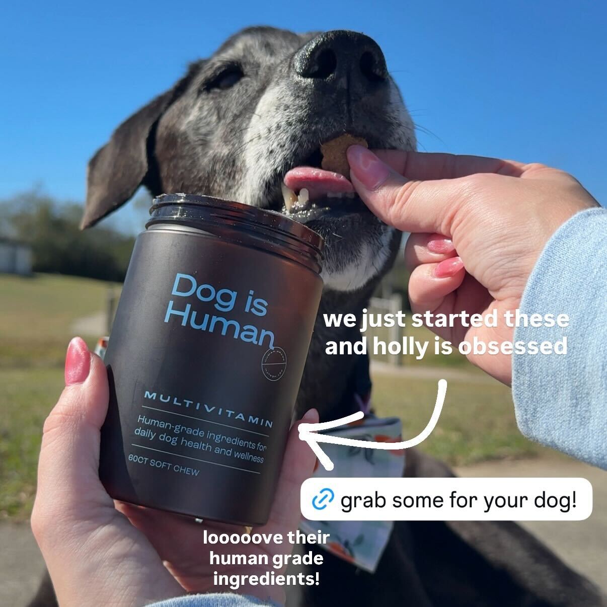 Dog is Human Facebook ad