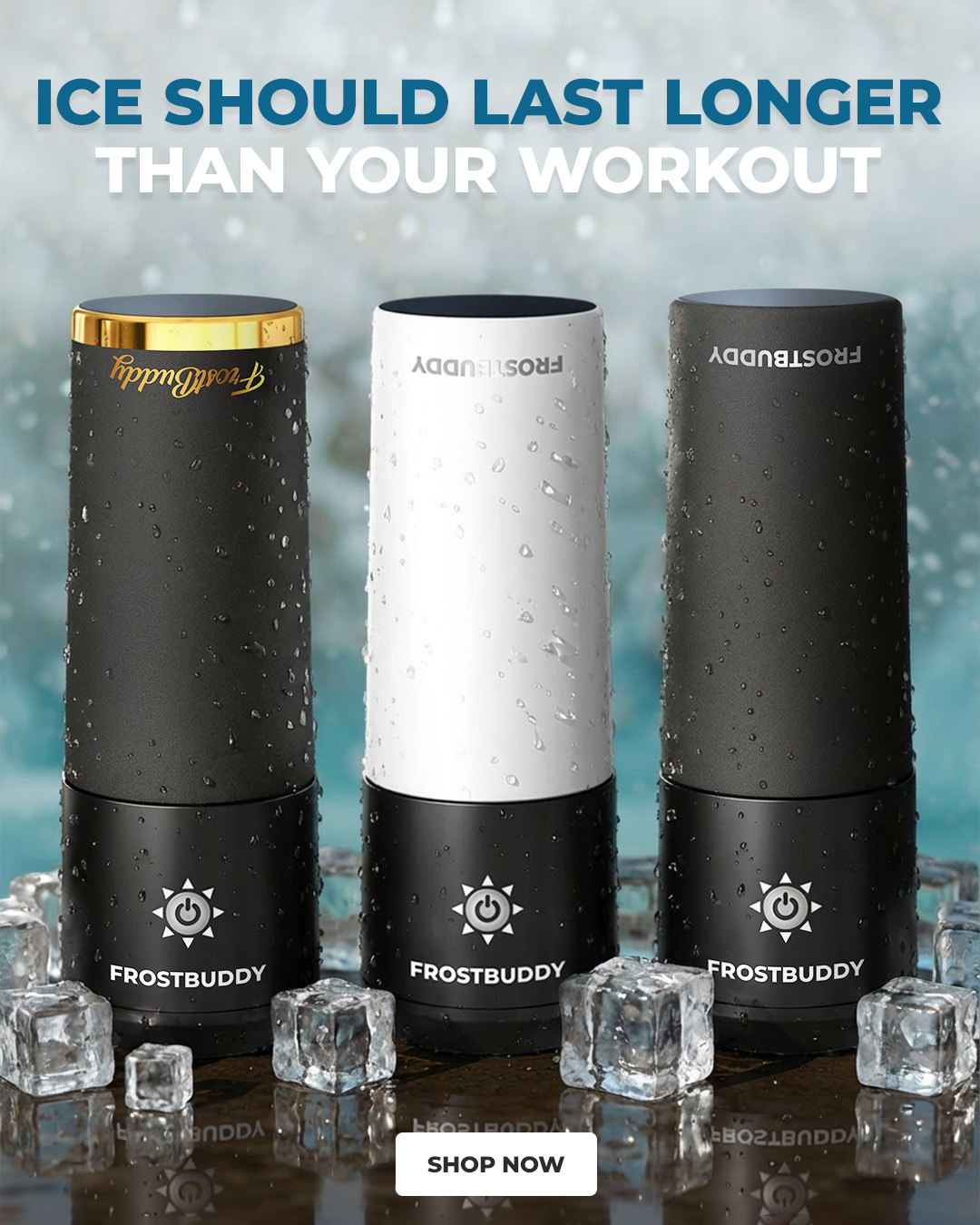 Frost Buddy Facebook ad