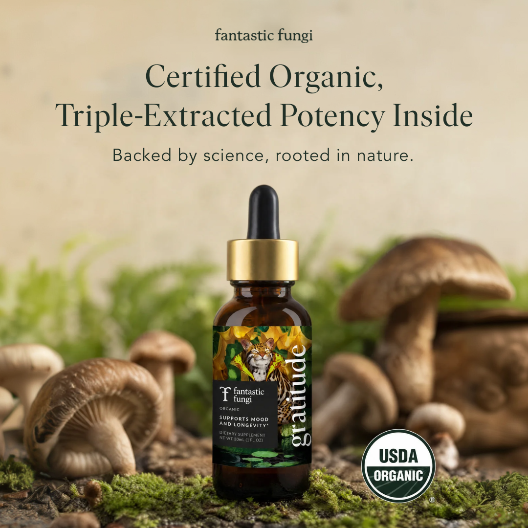 Fantastic Fungi Facebook ad