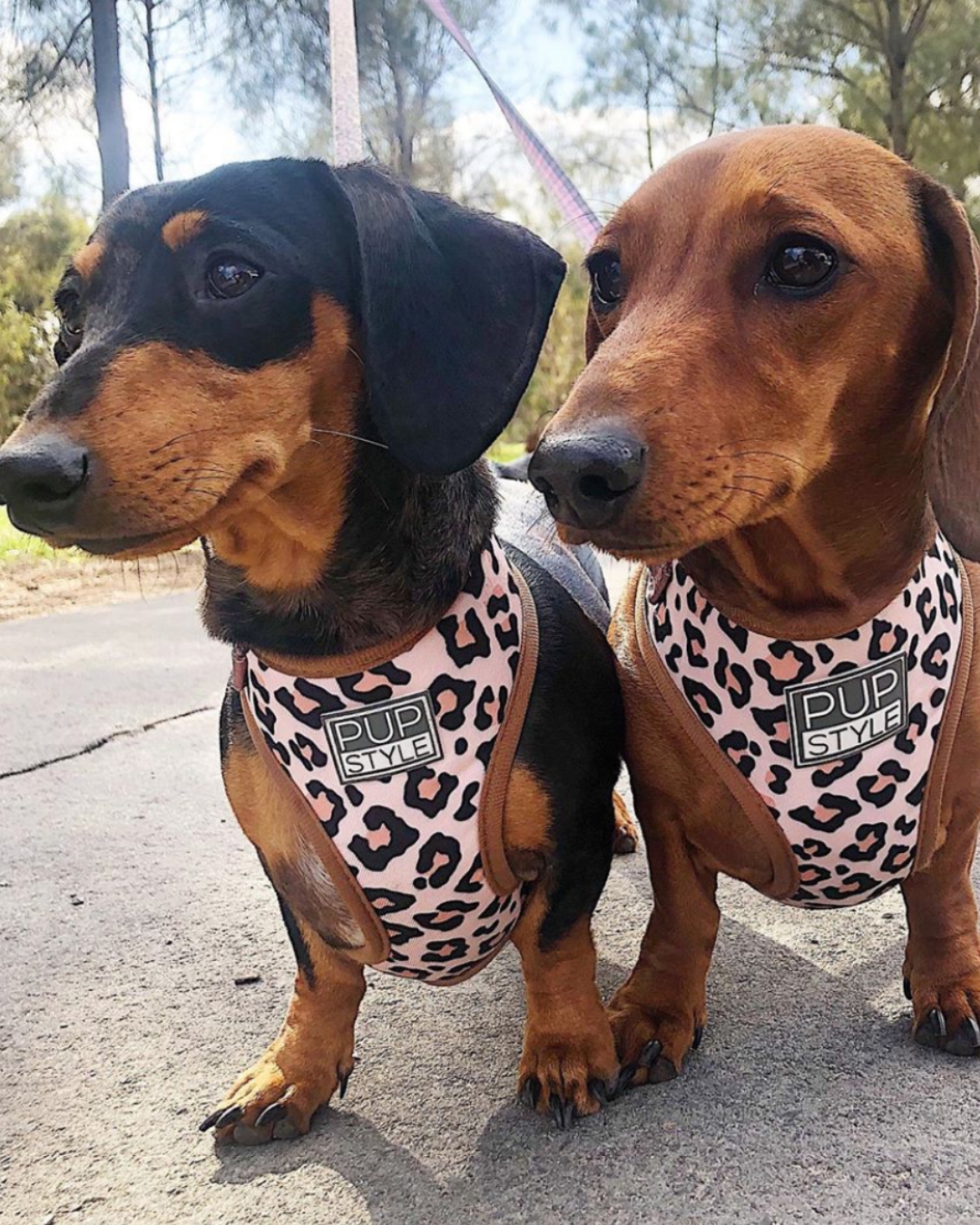 PUPSTYLE Store Facebook ad