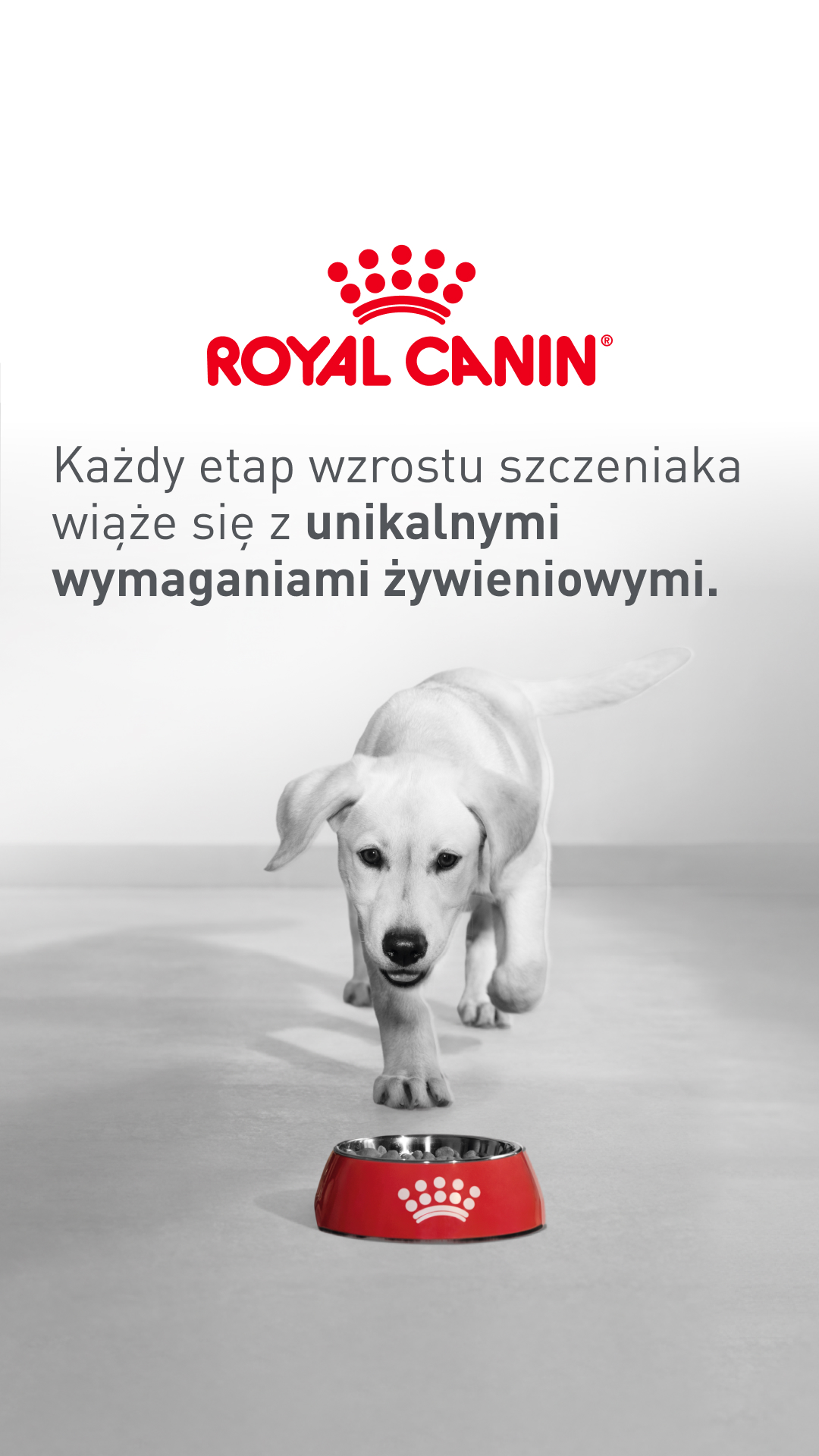 Royal Canin Facebook ad from May 14, 2026