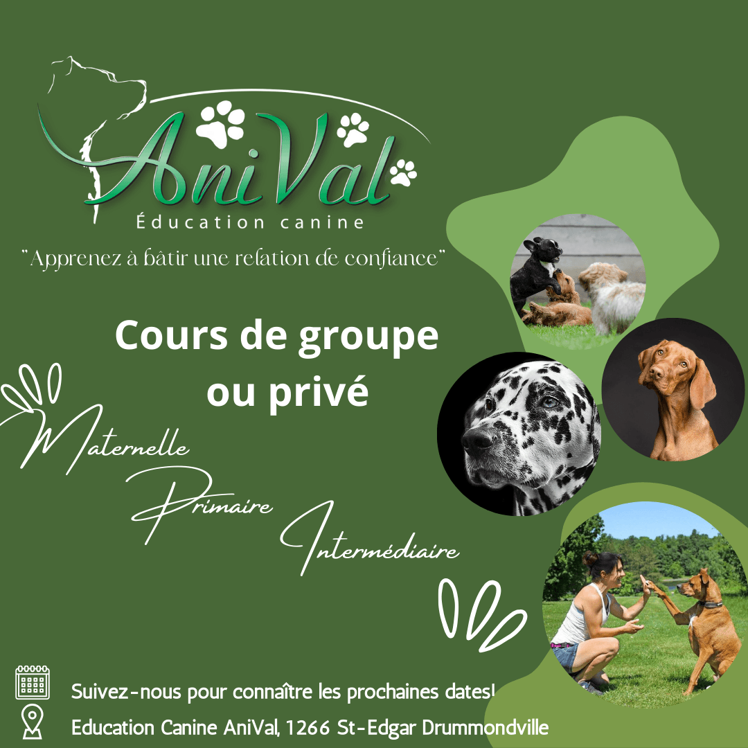 Éducation canine AniVal Facebook ad: Je veux m'inscrire!