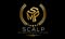 SCALP Micropigmentation