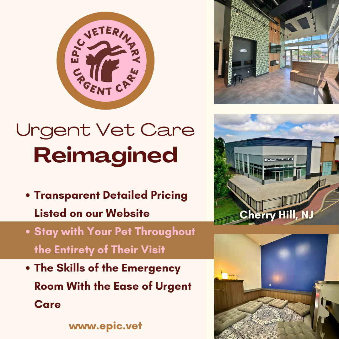 Epic Vet Urgent Care Facebook ad: EPIC Veterinary Urgent Care | Cherry Hill, NJ