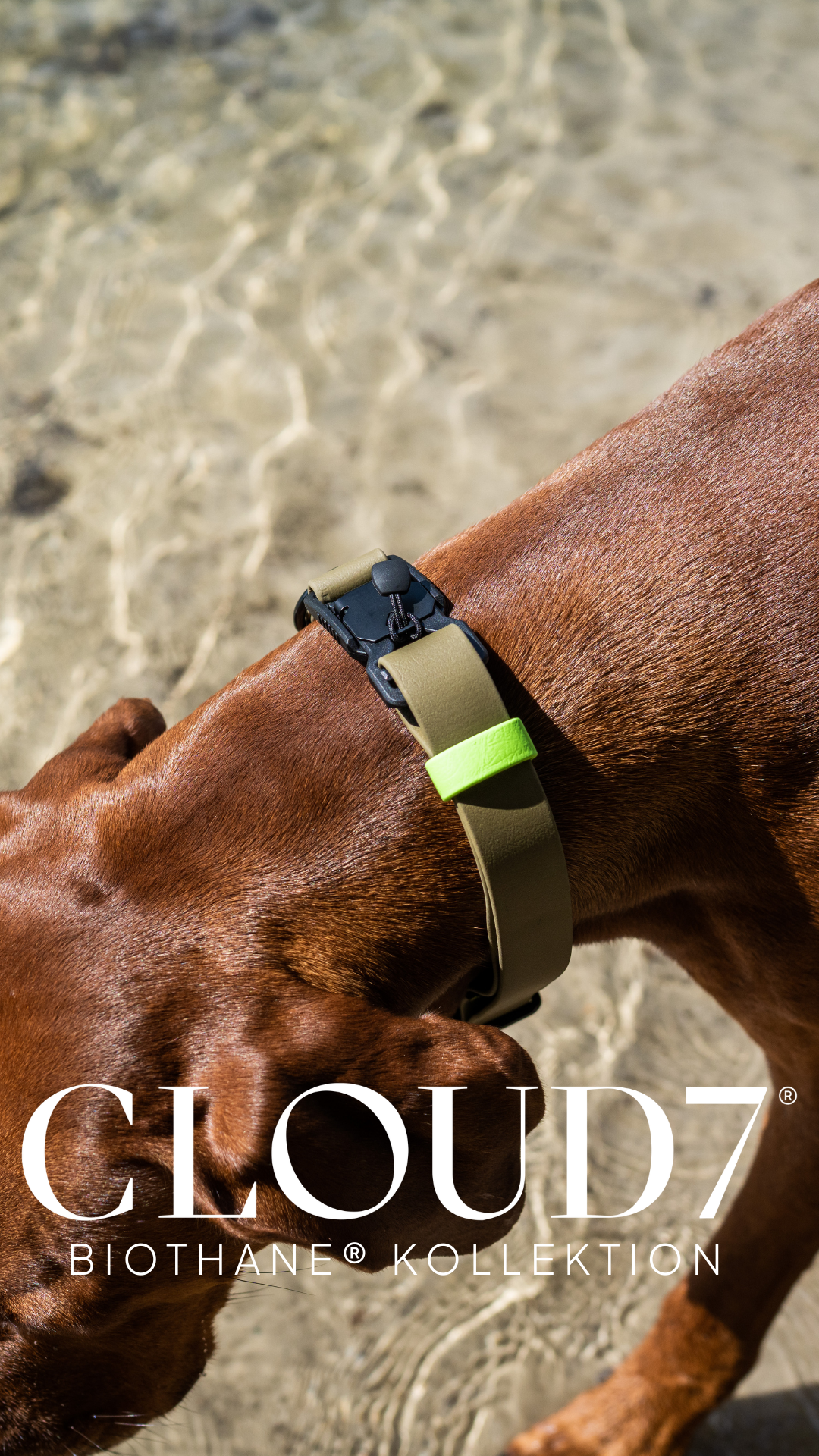 Cloud7 Facebook ad