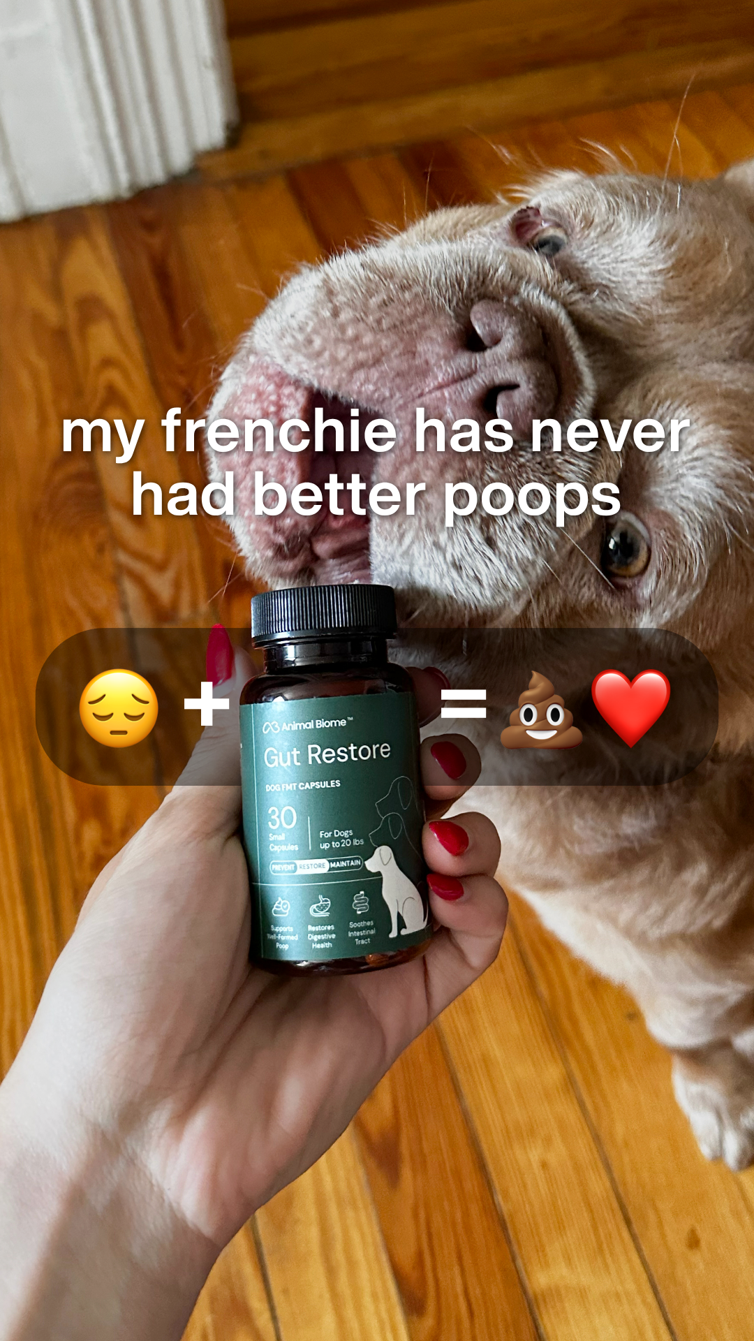 Rounds Of A Paws Facebook ad