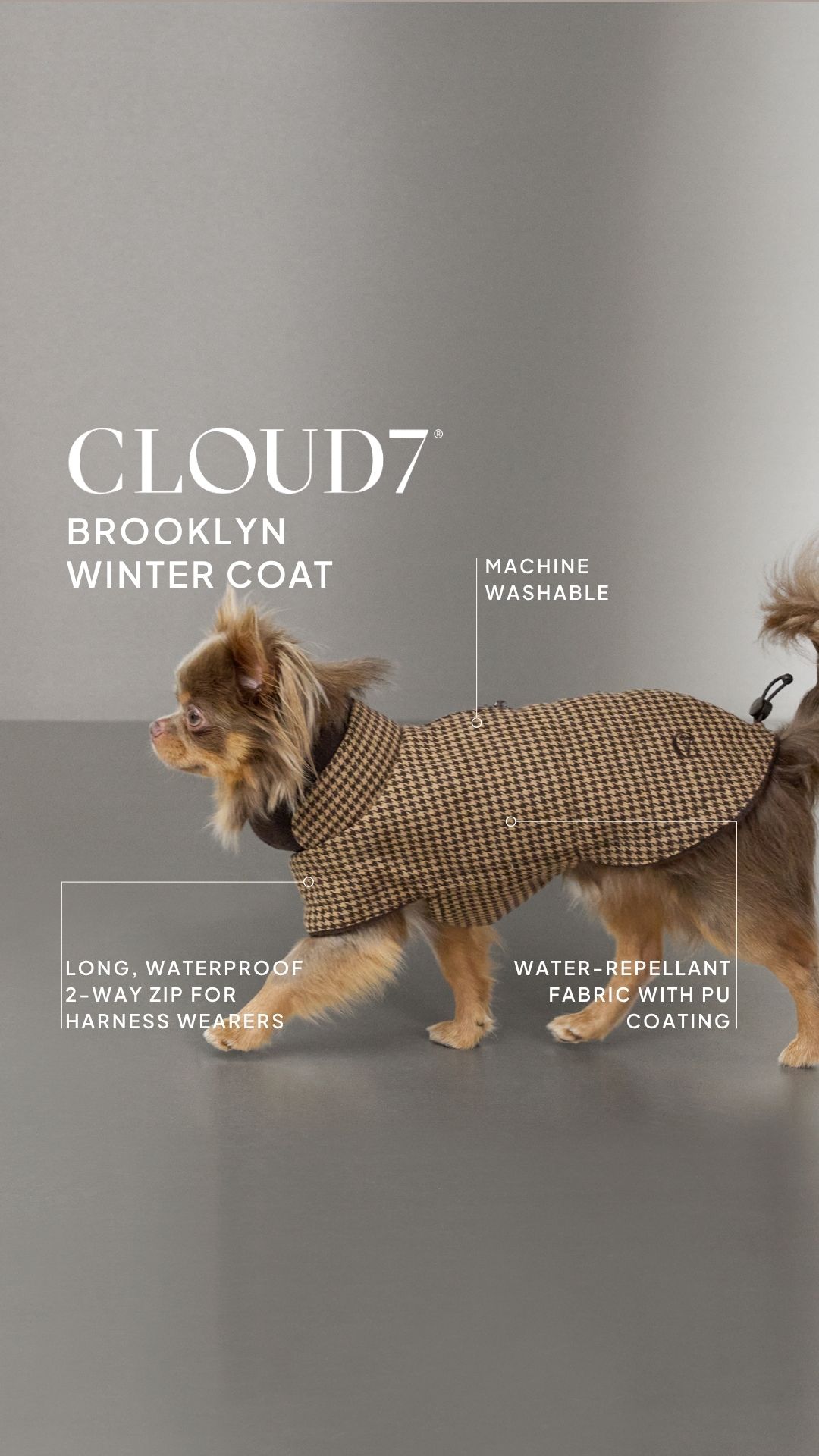 Cloud7 Facebook ad: Discover here