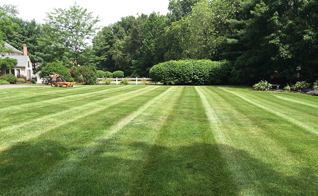 Wright Landscapes Facebook ad: Wright Landscapes is founded on a profound belief…