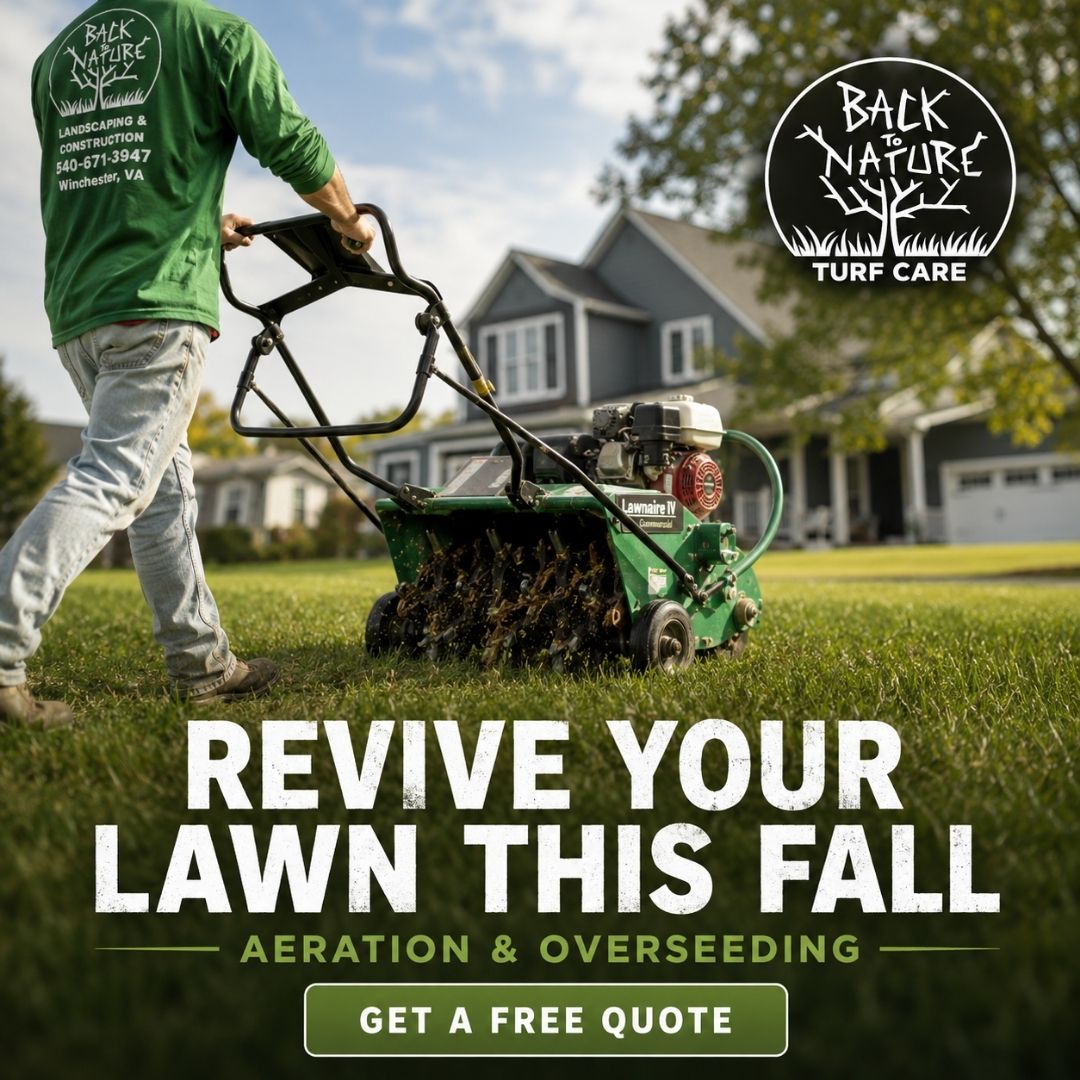 Back to Nature Landscaping & Construction Facebook ad