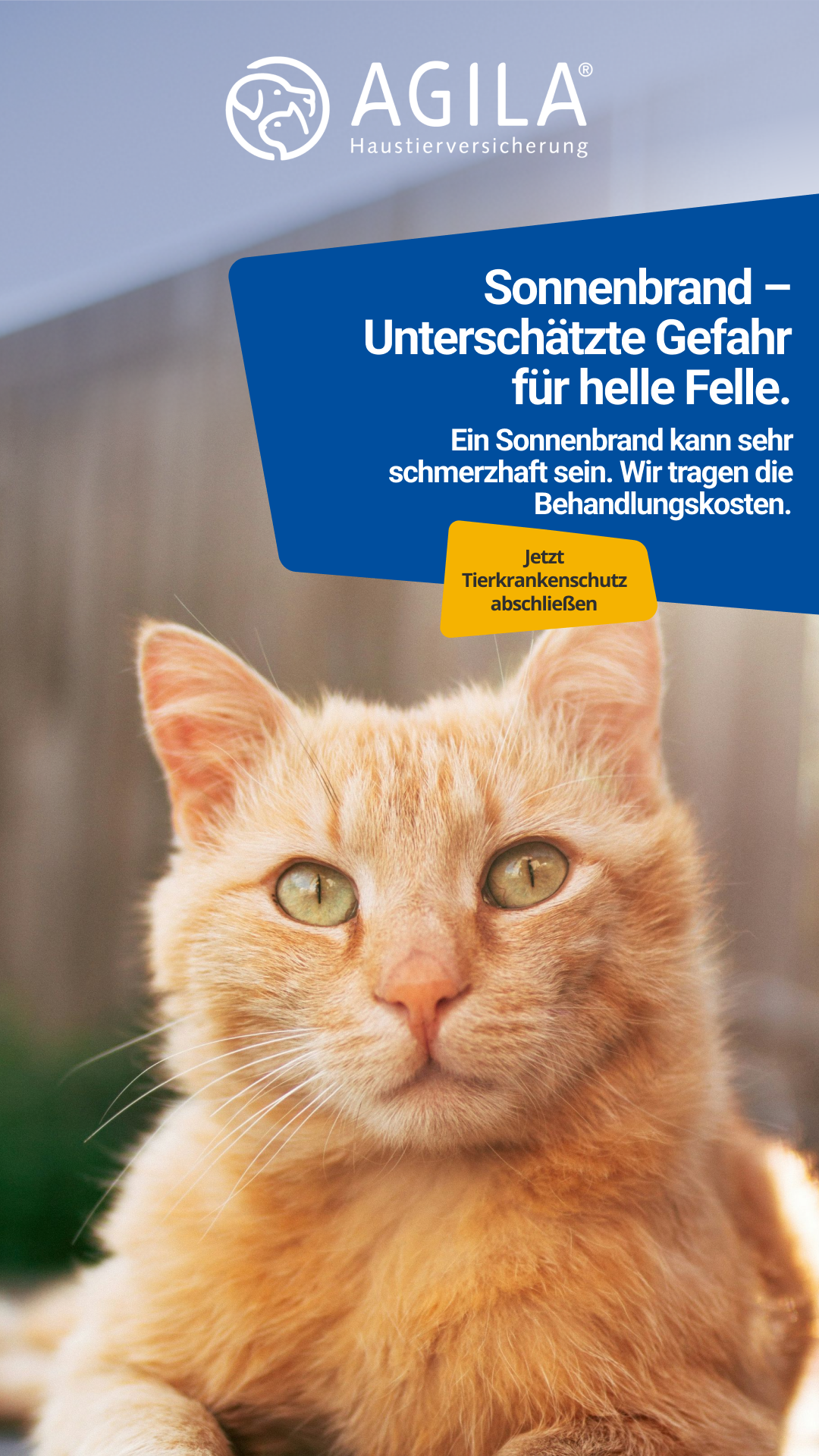 AGILA Haustierversicherung Facebook ad