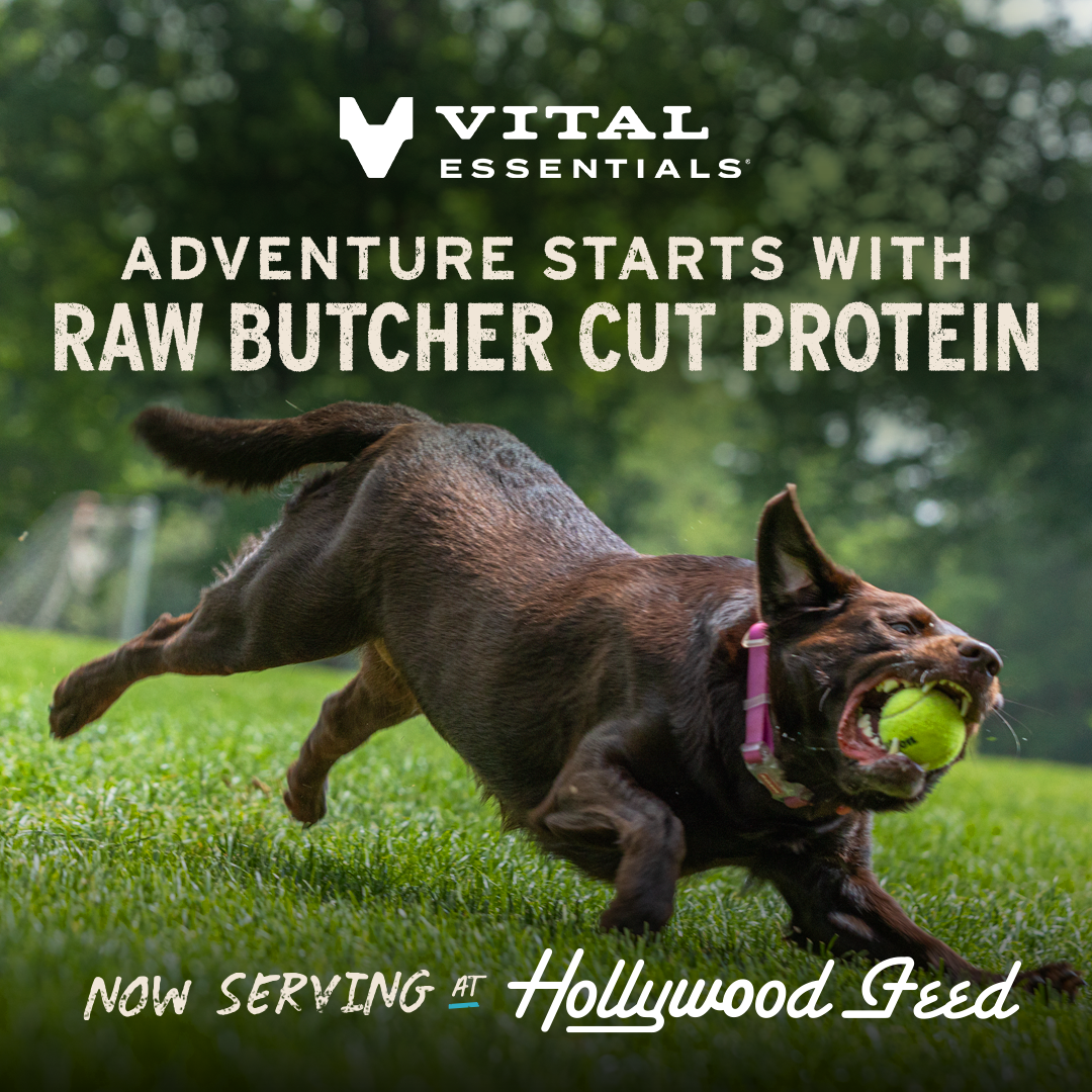 Vital Essentials Facebook ad