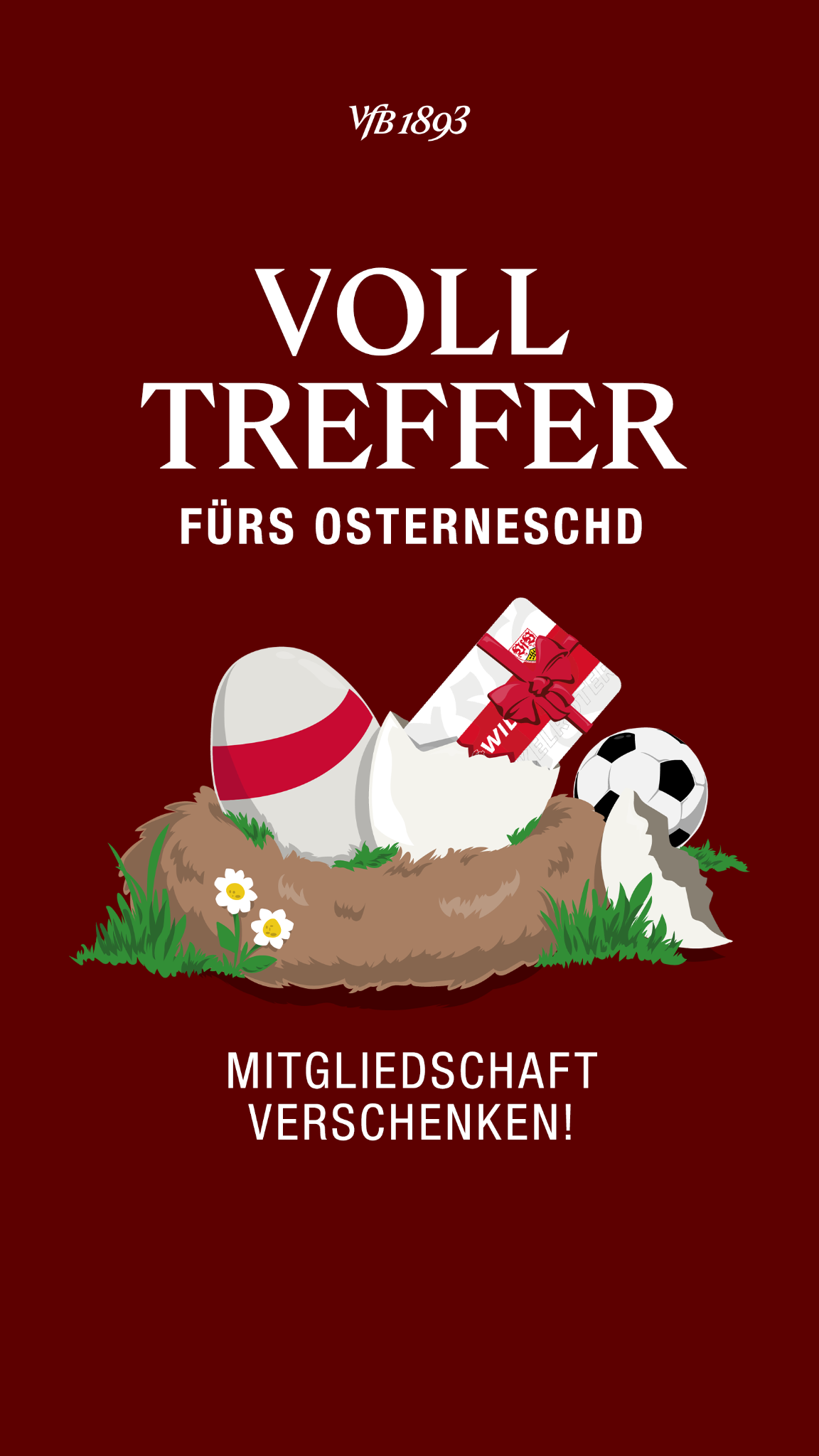 VfB Stuttgart 1893 Facebook ad
