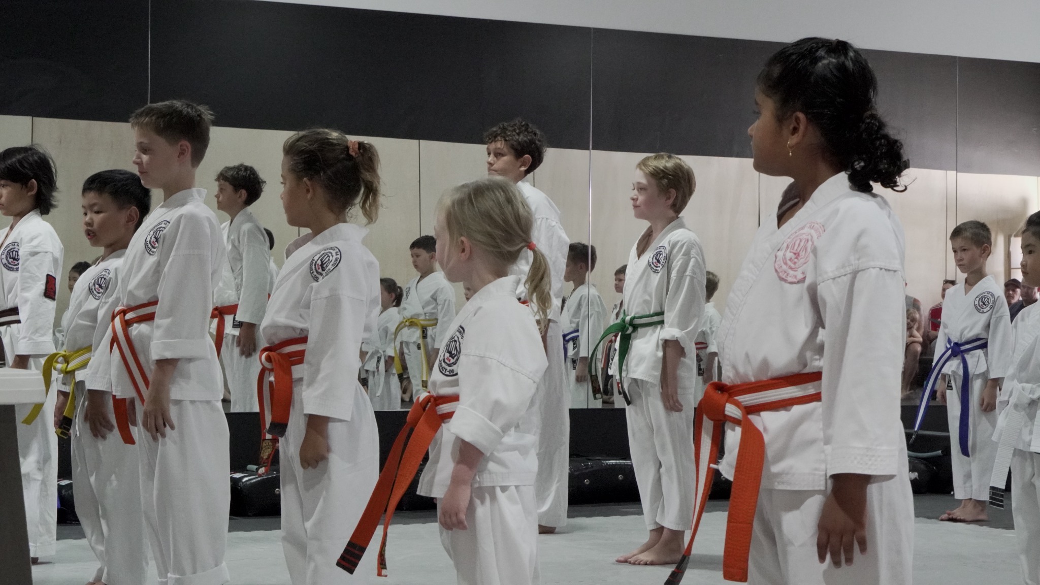 Karate Academy of Power - Hayashiha Queensland Facebook ad