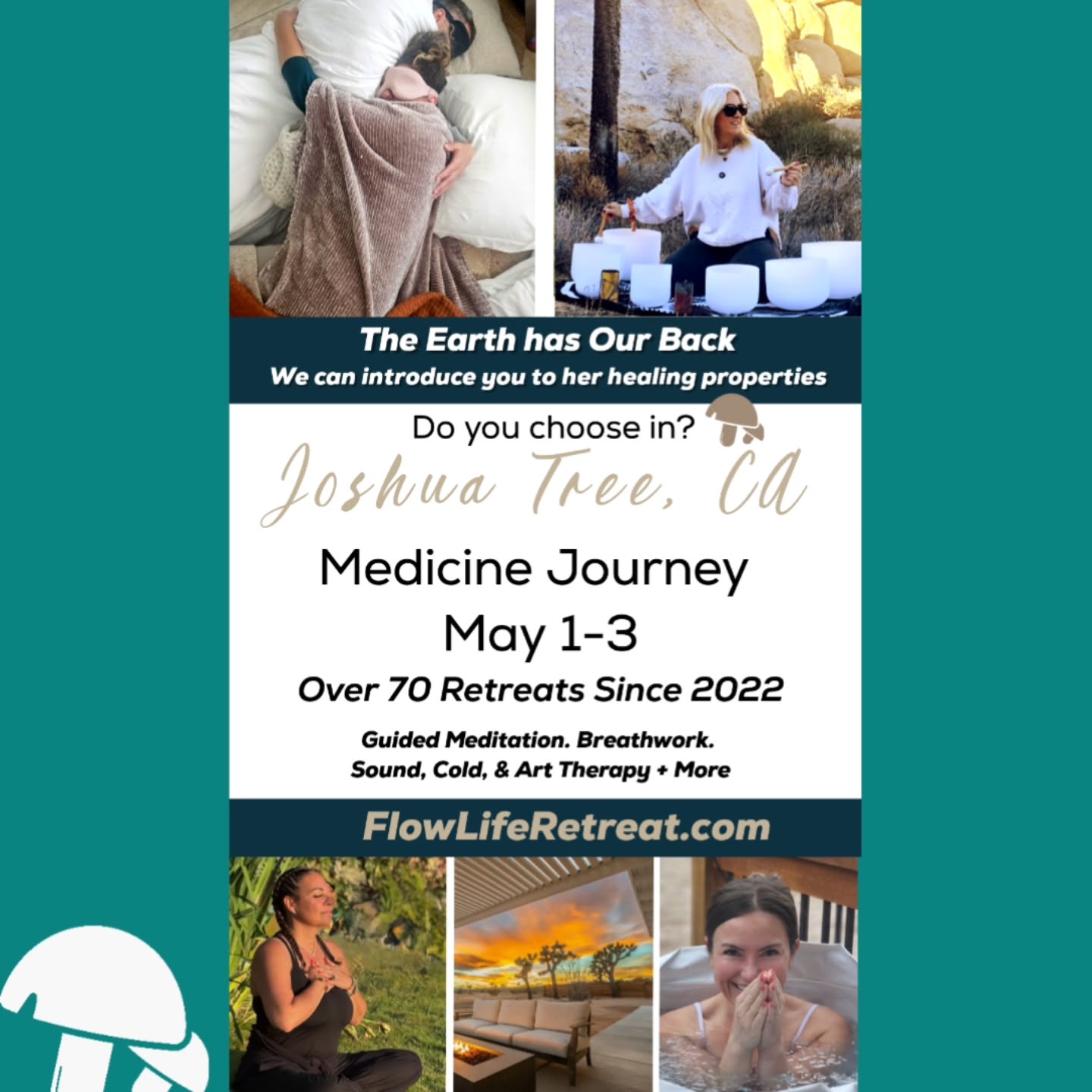 msevapayne Facebook ad: We can introduce you to earth's healing properties.