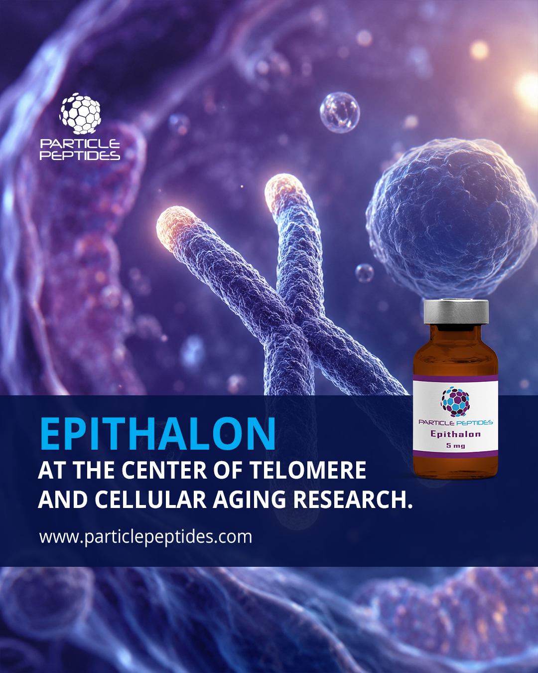Particle Peptides Facebook ad: What are telomeres, and why do they attract…