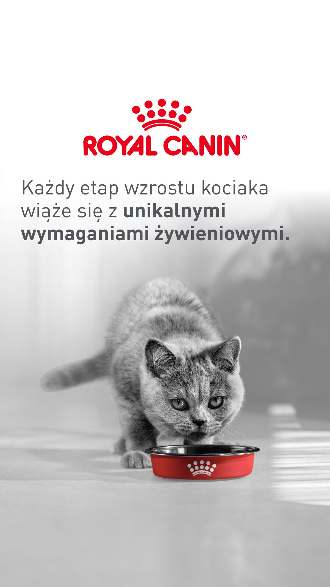 Royal Canin Facebook ad from May 14, 2026