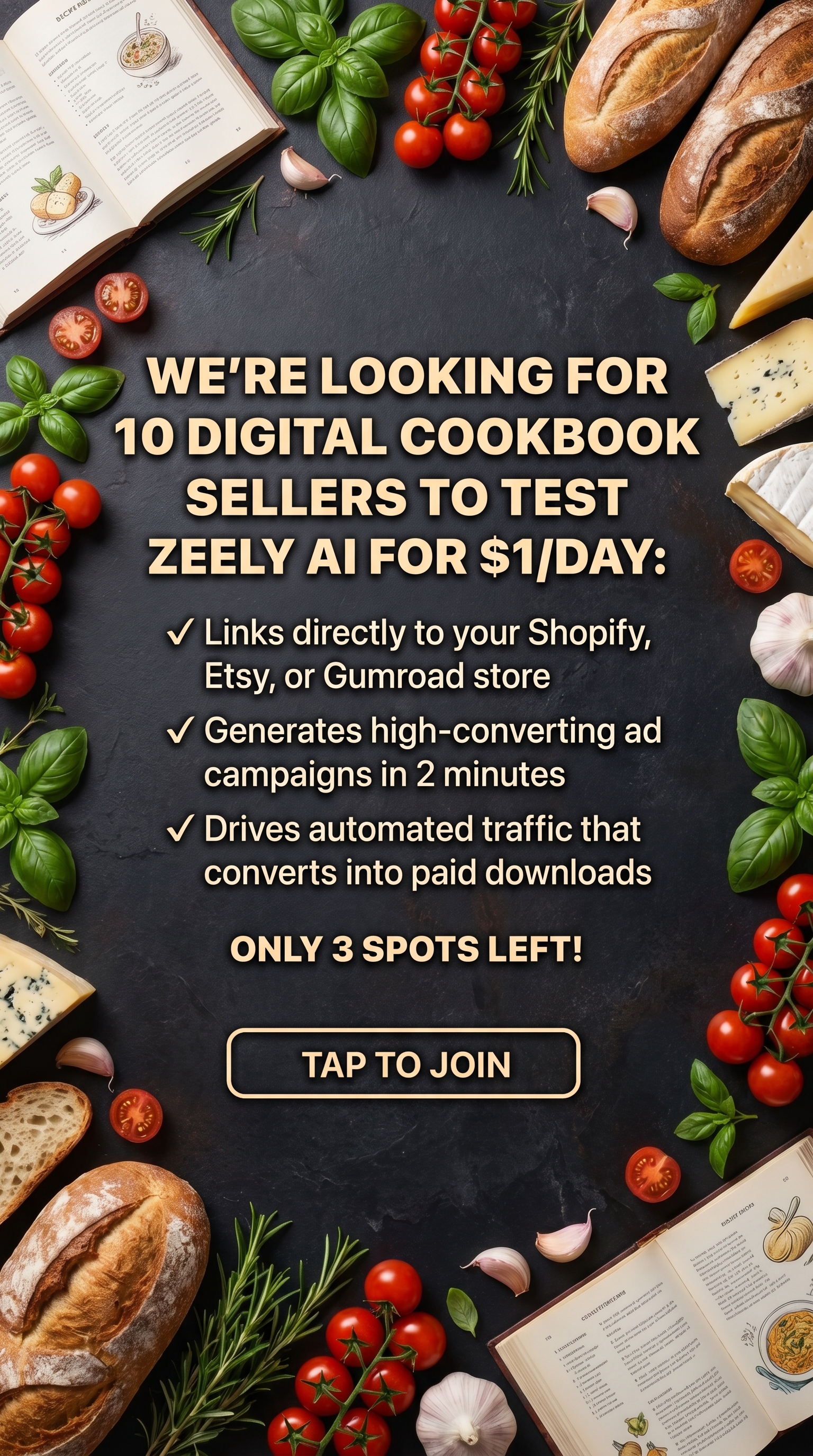 Zeely: Grow Sales with AI Facebook ad