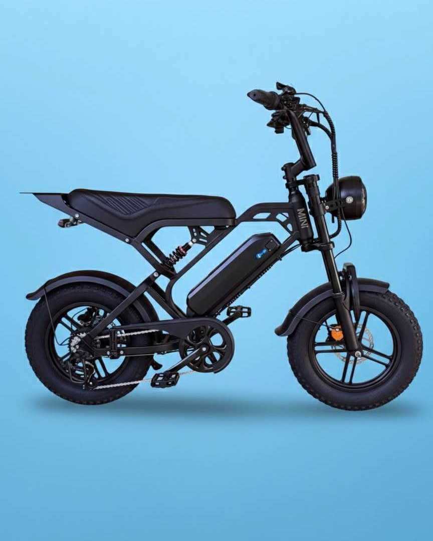 Timo von Wagenhoff Facebook ad: New 2026 Dune Volt Cruise Mini 250. 12 months warranty