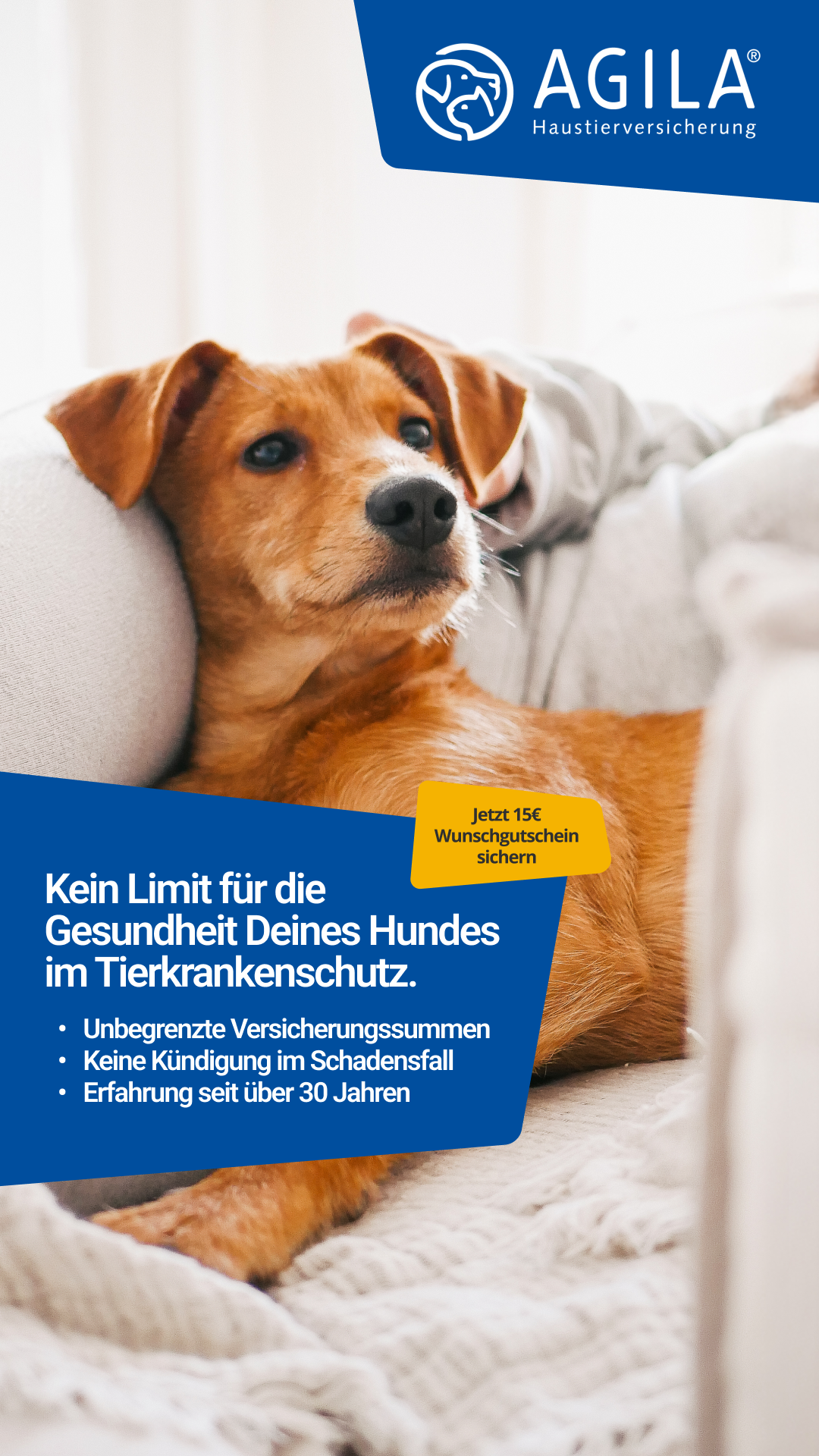 AGILA Haustierversicherung Facebook ad: AGILA Hundeversicherung