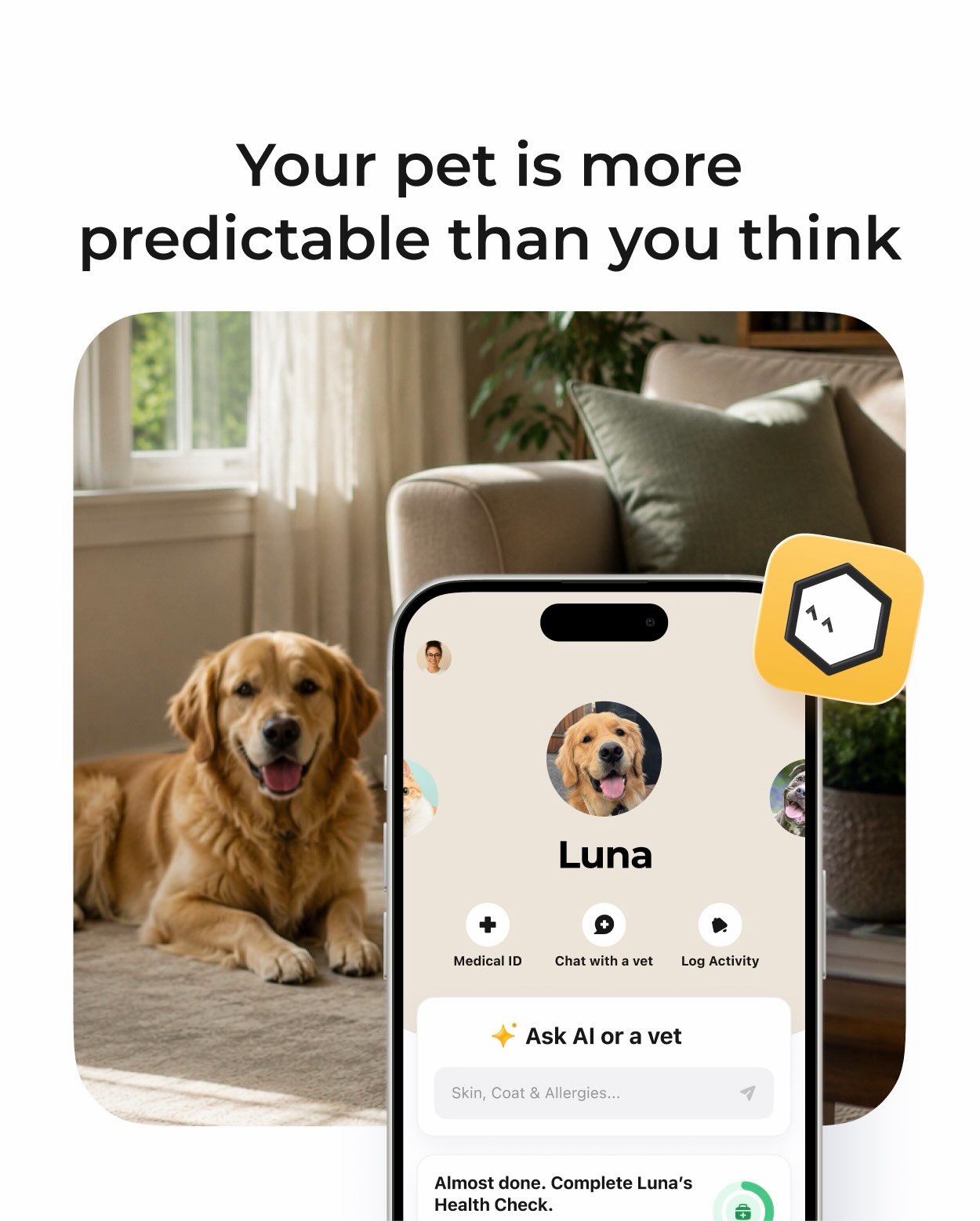 Petcube Facebook ad