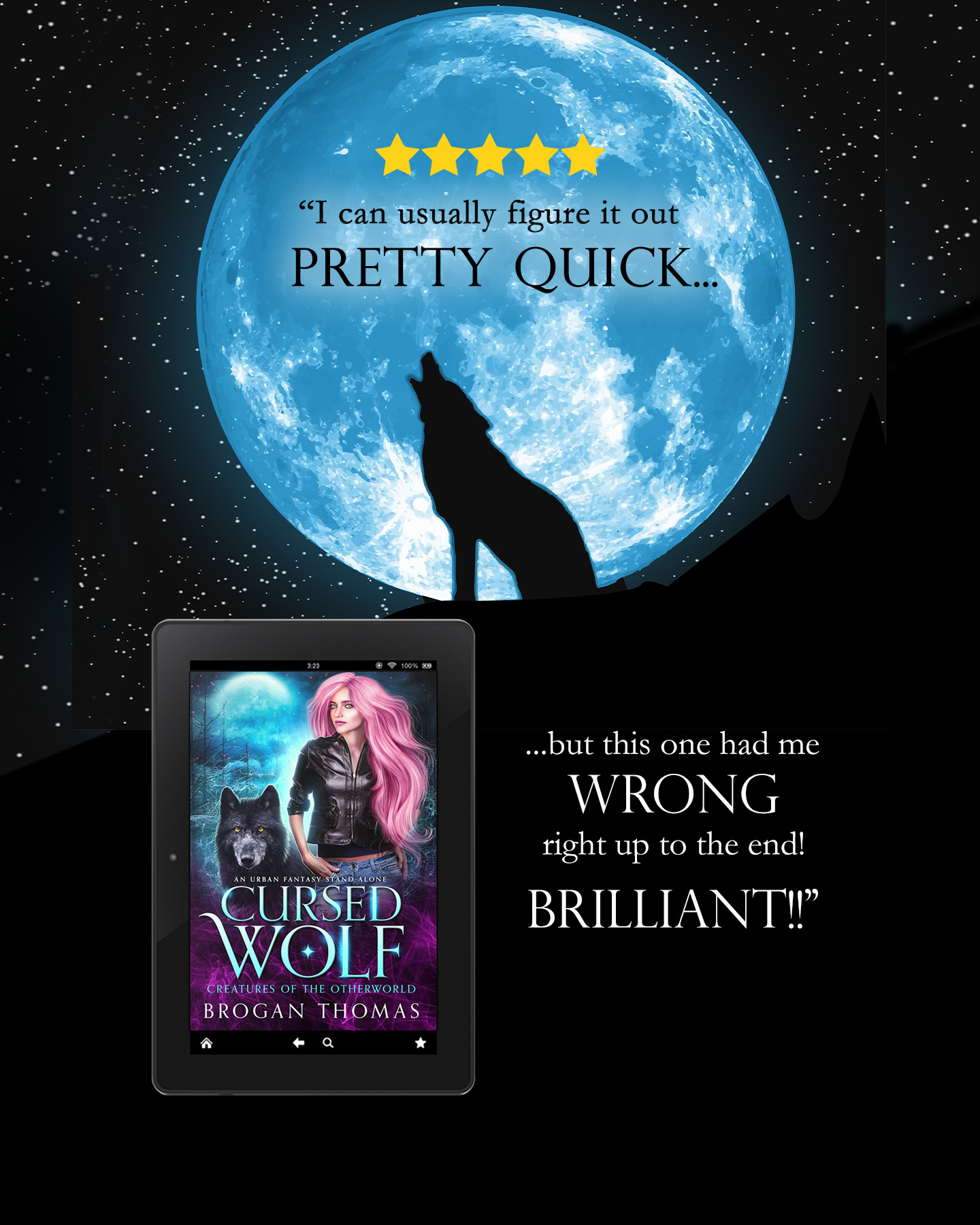 Brogan Thomas Author Facebook ad