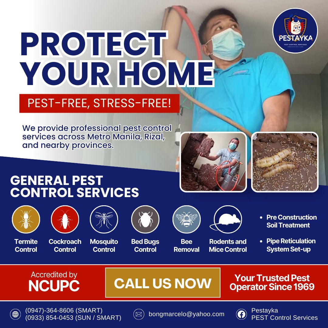 Pestayka PEST Control Services Facebook ad: πππππππ ππππ ππππ
